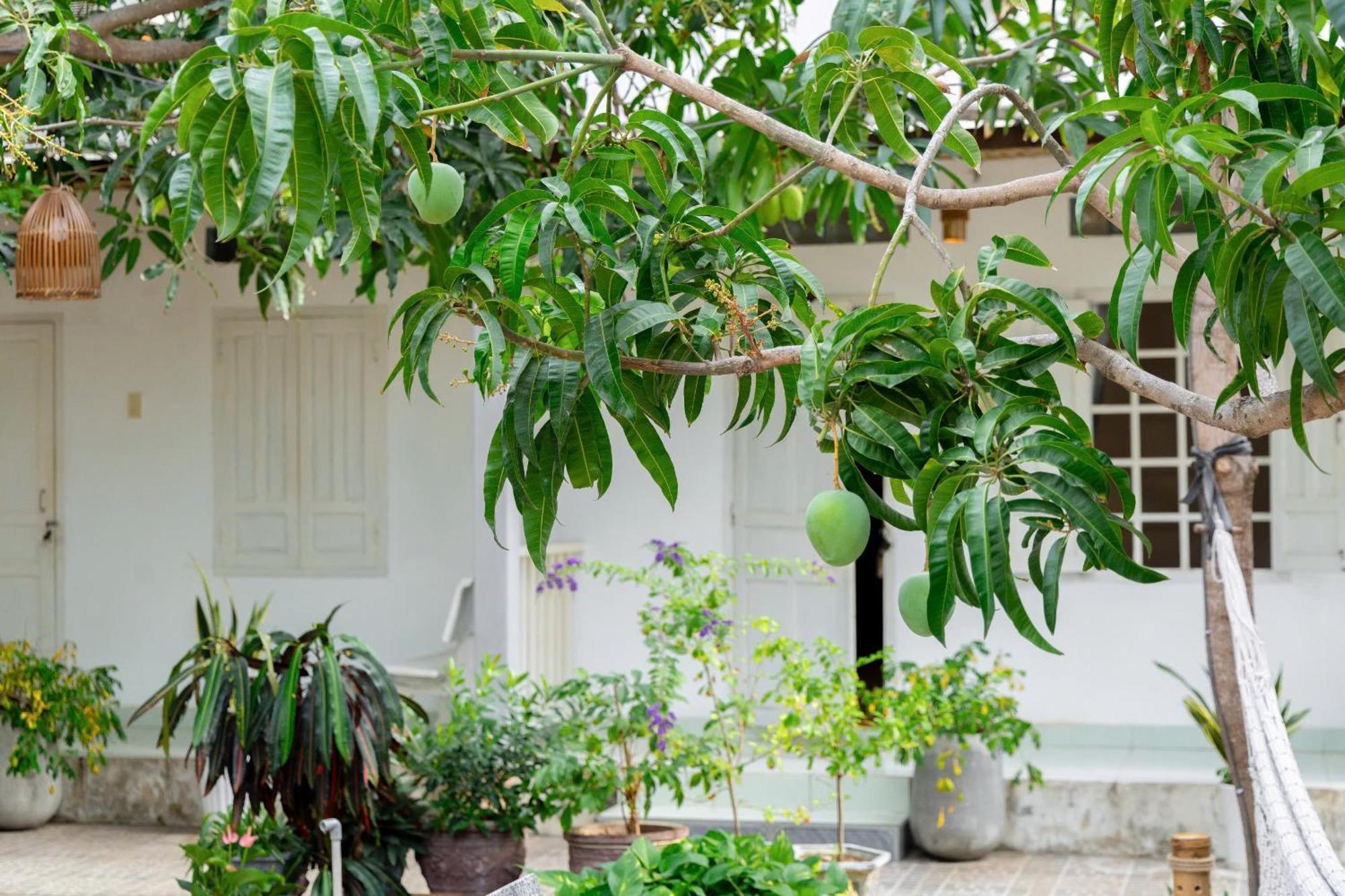 Binhyen Homestay Mũi Né Exteriér fotografie